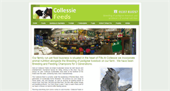 Desktop Screenshot of collessiefeeds.com